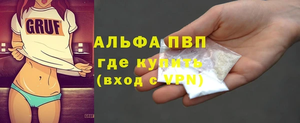 прущие грибы Белокуриха