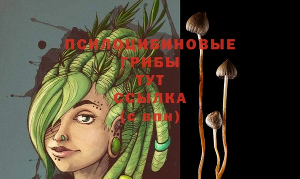 MDMA Premium VHQ Лагань