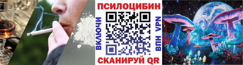 Псилоцибиновые грибы GOLDEN TEACHER  мега онион  Стерлитамак  купить наркотики цена 