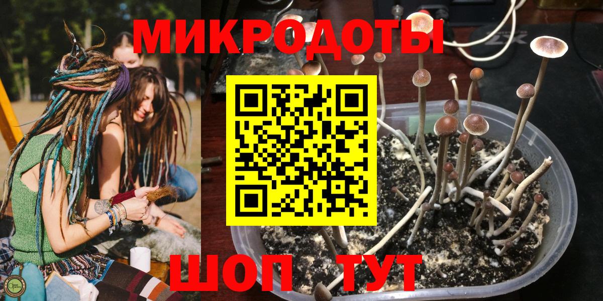 Стерлитамак  Псилоцибиновые грибы MAGIC MUSHROOMS  Вход с VPN 