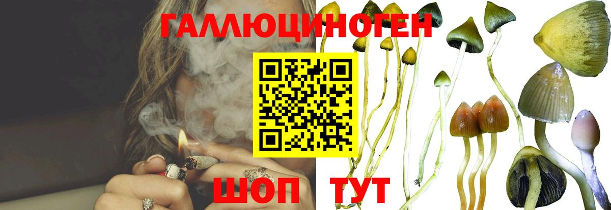 Галлюциногенные грибы мицелий Стерлитамак